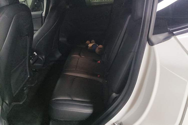 Used Tesla Model Y 2021 Long-Range All-Wheel-Drive Version Left Rear Seat