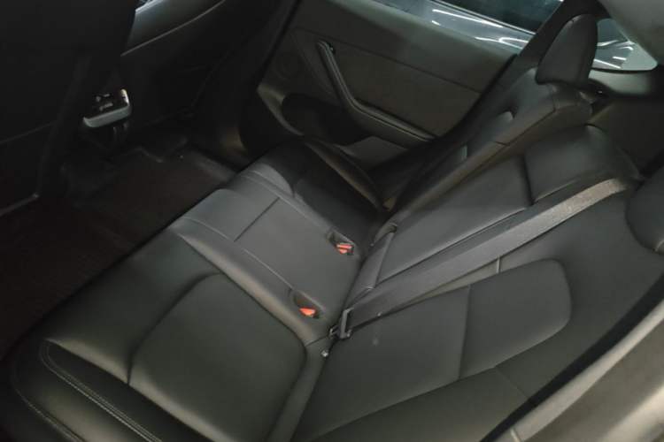 Used Tesla Model Y 2021 Revised Version 2 Long-Range All-Wheel-Drive Edition Left Rear Seat
