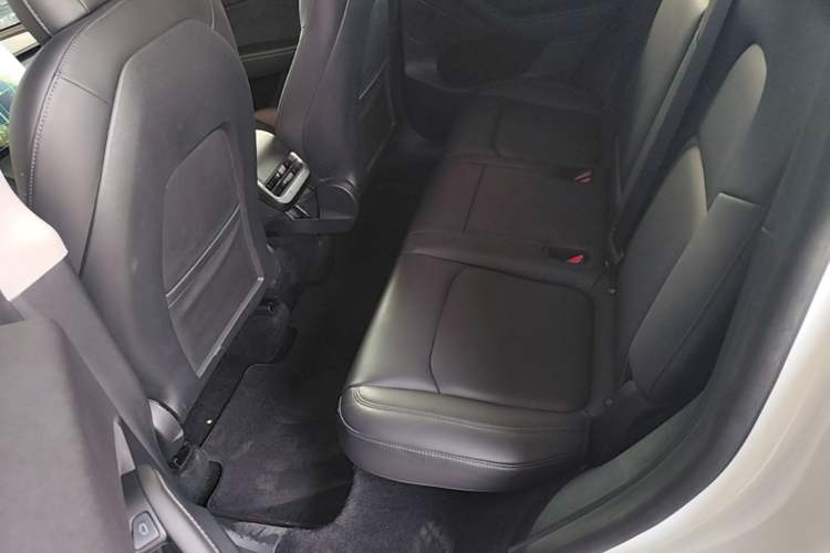 Used Tesla Model Y 2021 Standard Range Rear-Wheel Drive Version Left Rear Seat