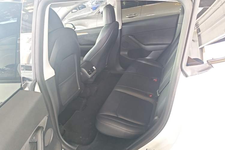 Used Tesla Model Y 2021 Standard Range Rear-Wheel Drive Version Left Rear Seat