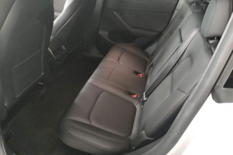 Used Tesla Model Y 2021 Long-Range All-Wheel-Drive Version 3D7 Left Rear Seat