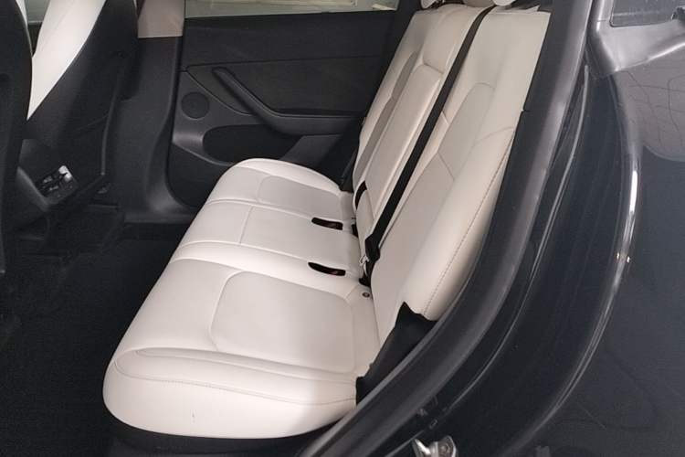 Used Tesla Model Y 2021 Standard Range Rear-Wheel Drive Version Left Rear Seat