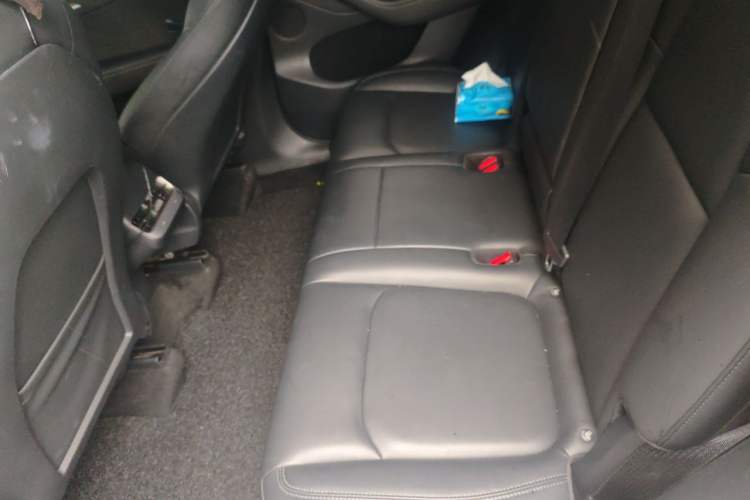Used Tesla Model Y 2021 Standard Range Rear-Wheel Drive Version Left Rear Seat
