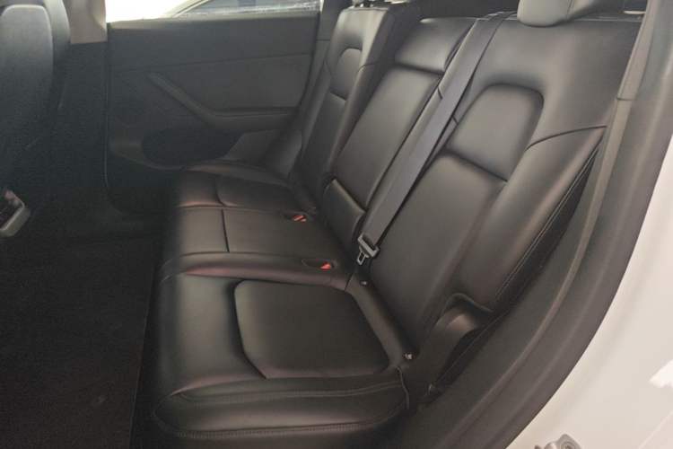 Used Tesla Model Y 2021 Revised Version 2 Long-Range All-Wheel-Drive Edition Left Rear Seat