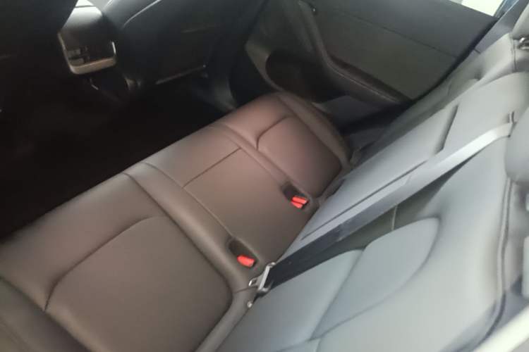 Used Tesla Model Y 2021 Long-Range All-Wheel-Drive Version Left Rear Seat