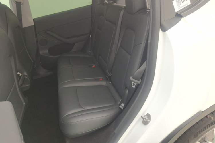 Used Tesla Model Y 2021 Long-Range All-Wheel-Drive Version 3D7 Left Rear Seat