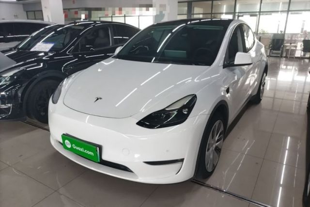 Tesla Model Y 2021 Standard Range Rear-Wheel Drive Version de segunda mano