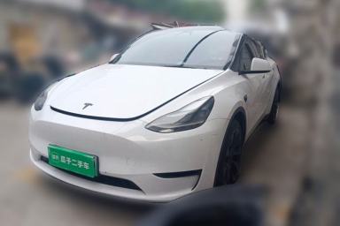 Used Tesla Model Y 2021 Standard Range Rear-Wheel Drive Version