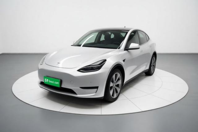 Tesla Model Y 2021 Standard Range Rear-Wheel Drive Version usado
