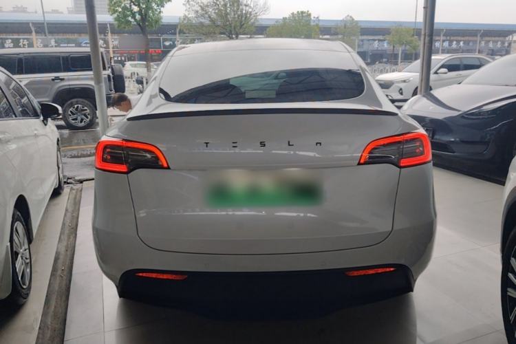 Used Tesla Model Y 2021 Standard Range Rear-Wheel Drive Version Rear