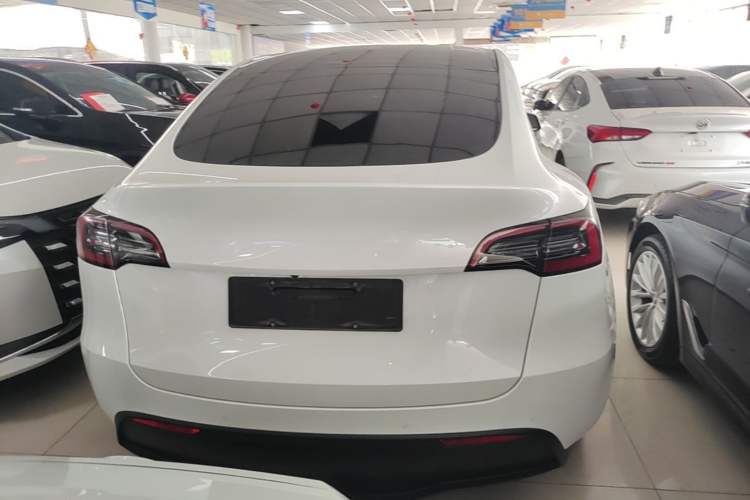 Used Tesla Model Y 2021 Standard Range Rear-Wheel Drive Version Rear