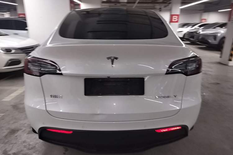 Used Tesla Model Y 2021 Standard Range Rear-Wheel Drive Version Rear