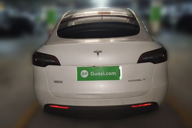 Used Tesla Model Y 2021 Standard Range Rear-Wheel Drive Version Rear