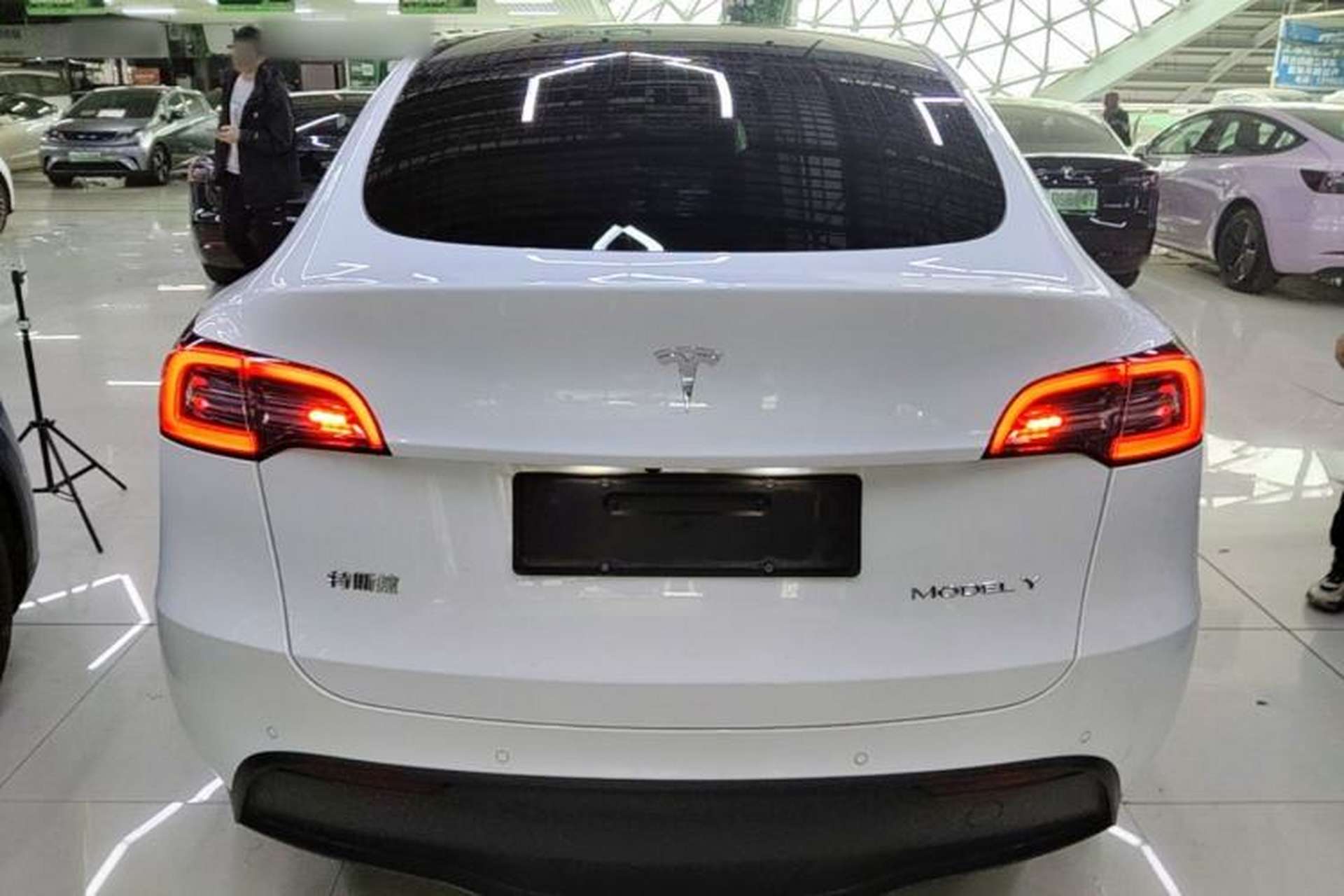 Used Tesla Model Y 2021 Standard Range Rear-Wheel Drive Version Rear