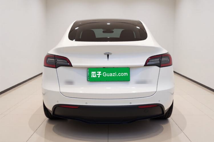 Used Tesla Model Y 2021 Standard Range Rear-Wheel Drive Version Rear