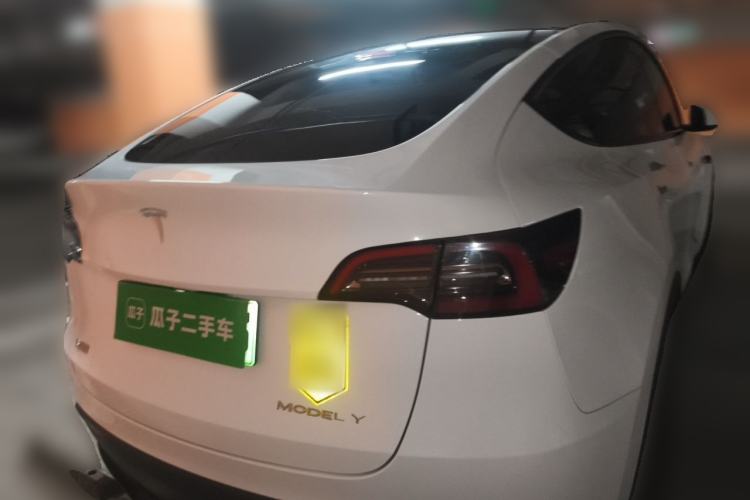 Used Tesla Model Y 2021 Standard Range Rear-Wheel Drive Version Rear