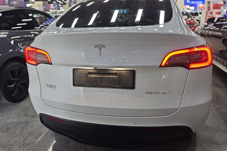 Used Tesla Model Y 2021 Long-Range All-Wheel-Drive Version Rear