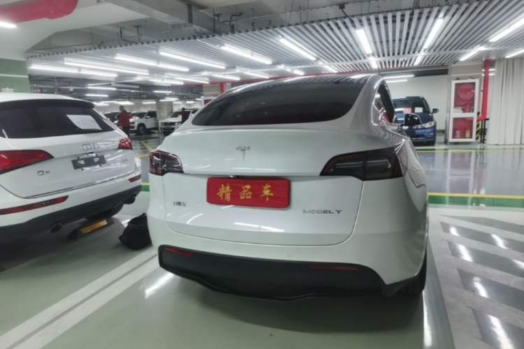 Used Tesla Model Y 2021 Standard Range Rear-Wheel Drive Version Rear