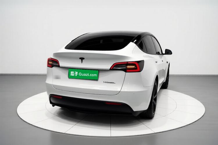 Used Tesla Model Y 2021 Standard Range Rear-Wheel Drive Version Rear