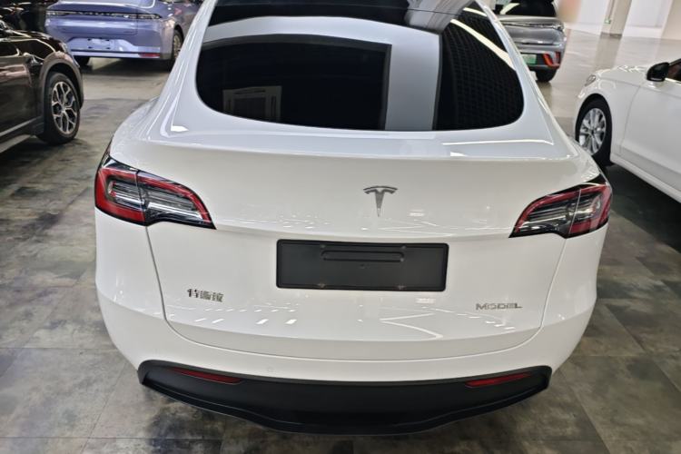 Used Tesla Model Y 2021 Standard Range Rear-Wheel Drive Version Rear