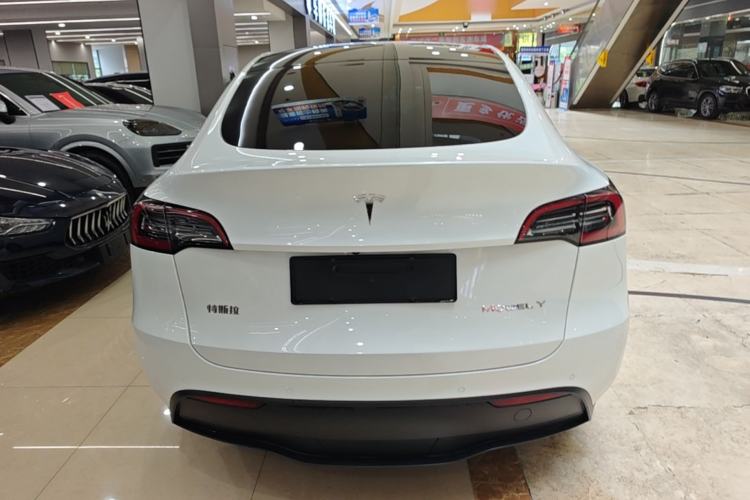 Used Tesla Model Y 2021 Standard Range Rear-Wheel Drive Version Rear