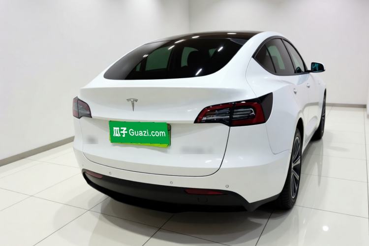 Used Tesla Model Y 2021 Standard Range Rear-Wheel Drive Version Rear
