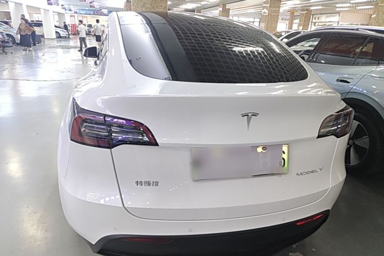 Used Tesla Model Y 2021 Standard Range Rear-Wheel Drive Version Rear