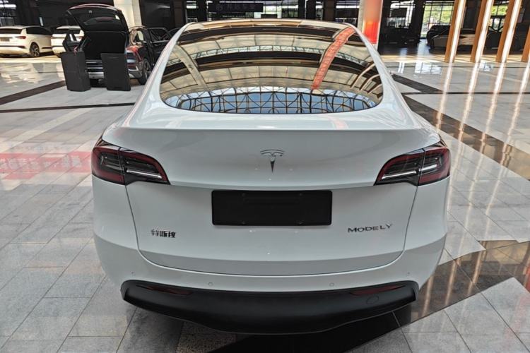 Used Tesla Model Y 2021 Standard Range Rear-Wheel Drive Version Rear