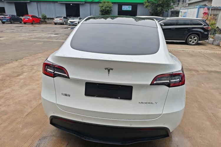 Used Tesla Model Y 2021 Standard Range Rear-Wheel Drive Version Rear