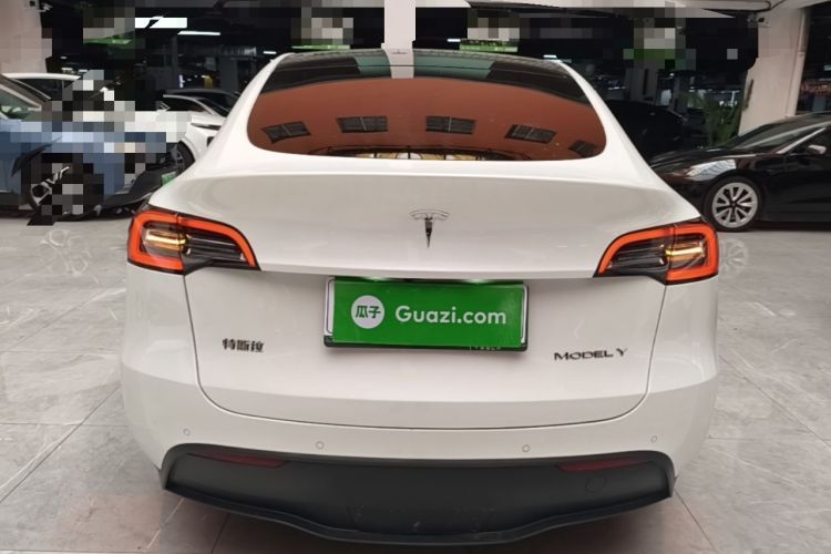 Used Tesla Model Y 2021 Standard Range Rear-Wheel Drive Version Rear
