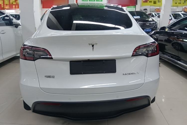 Used Tesla Model Y 2021 Standard Range Rear-Wheel Drive Version Rear