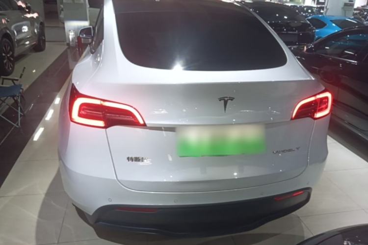 Used Tesla Model Y 2021 Standard Range Rear-Wheel Drive Version Rear
