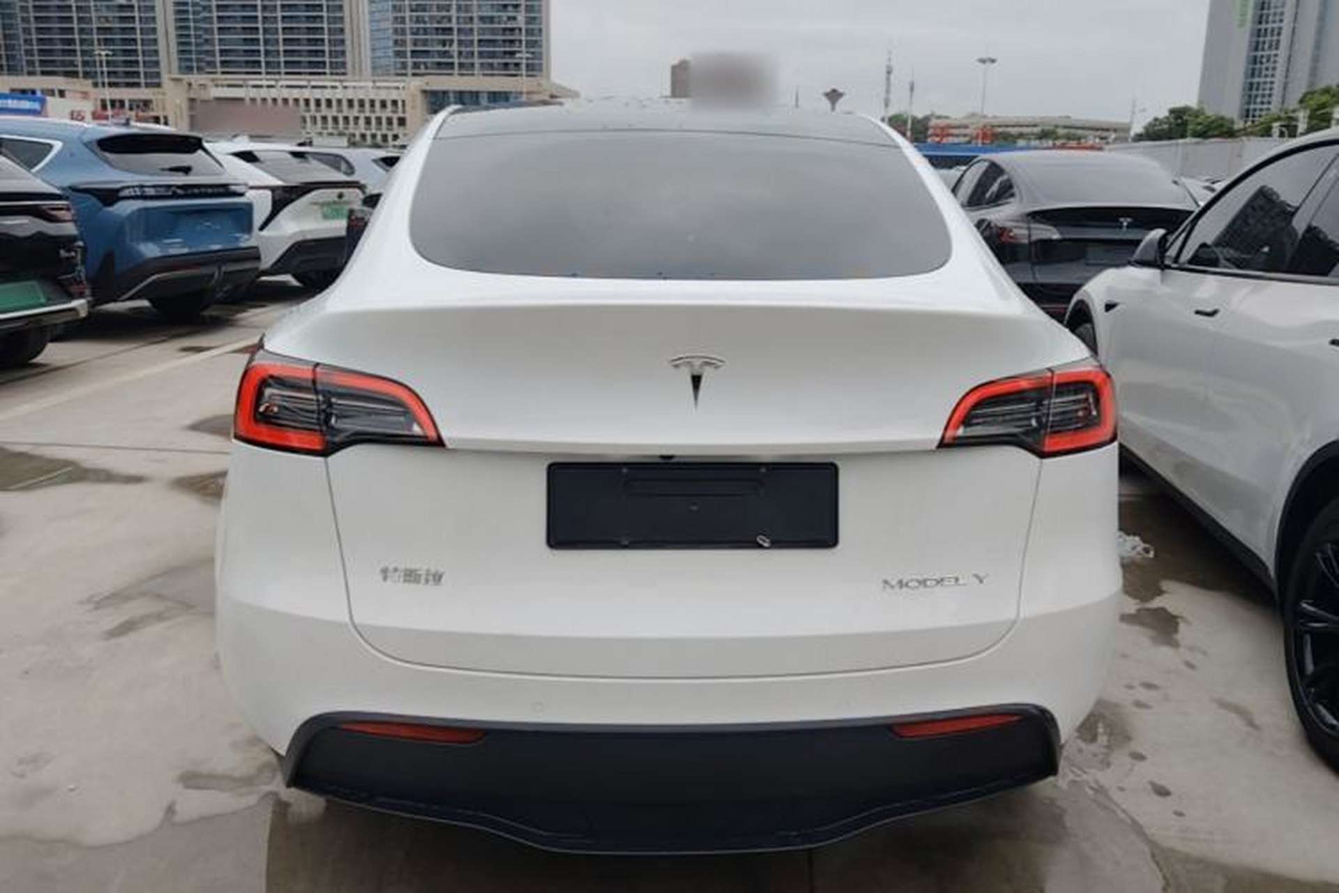 Used Tesla Model Y 2021 Standard Range Rear-Wheel Drive Version Rear