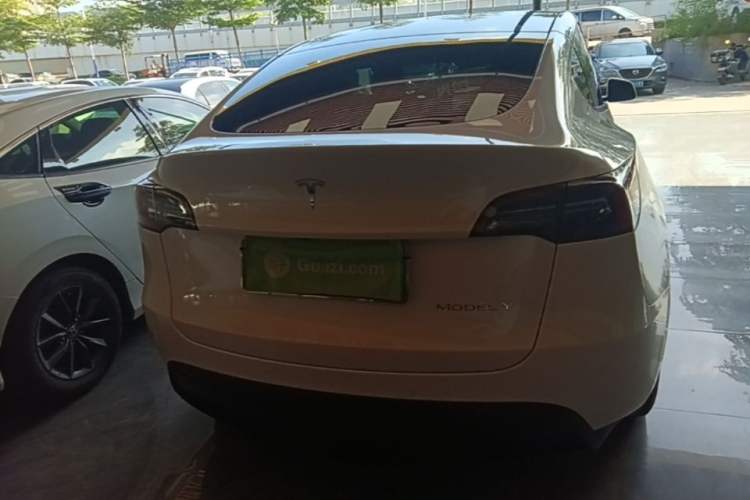 Used Tesla Model Y 2021 Standard Range Rear-Wheel Drive Version Rear