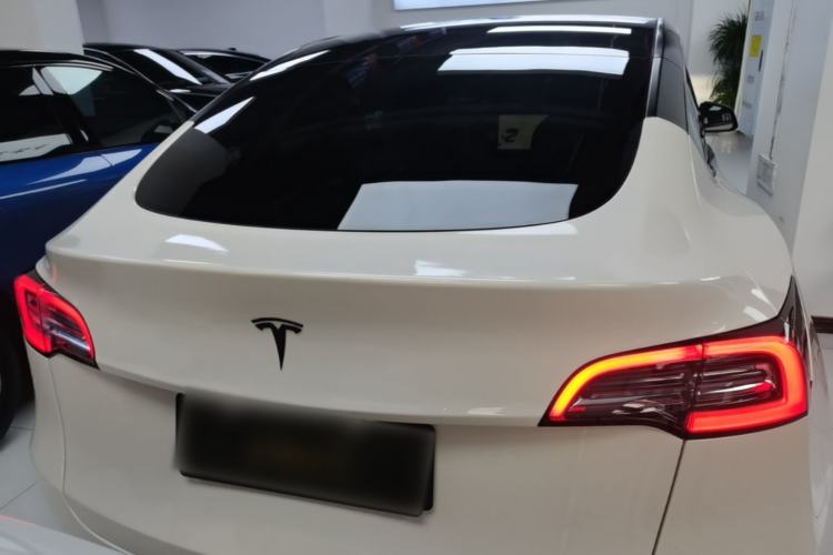 Used Tesla Model Y 2021 Standard Range Rear-Wheel Drive Version Rear