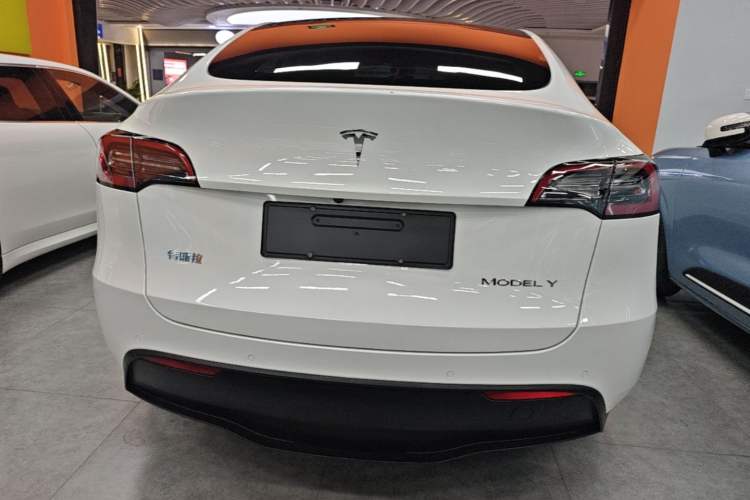Used Tesla Model Y 2021 Standard Range Rear-Wheel Drive Version Rear