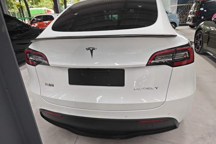 Used Tesla Model Y 2021 Standard Range Rear-Wheel Drive Version Rear