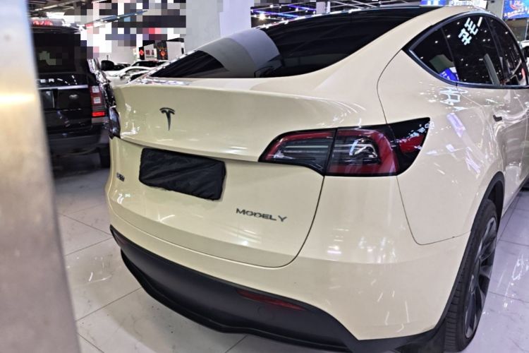 Used Tesla Model Y 2021 Standard Range Rear-Wheel Drive Version Rear