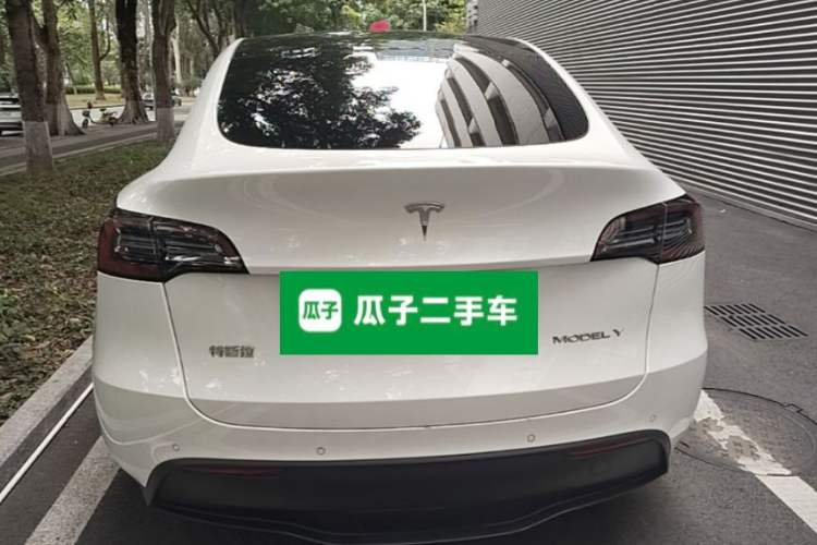 Used Tesla Model Y 2021 Standard Range Rear-Wheel Drive Version Rear