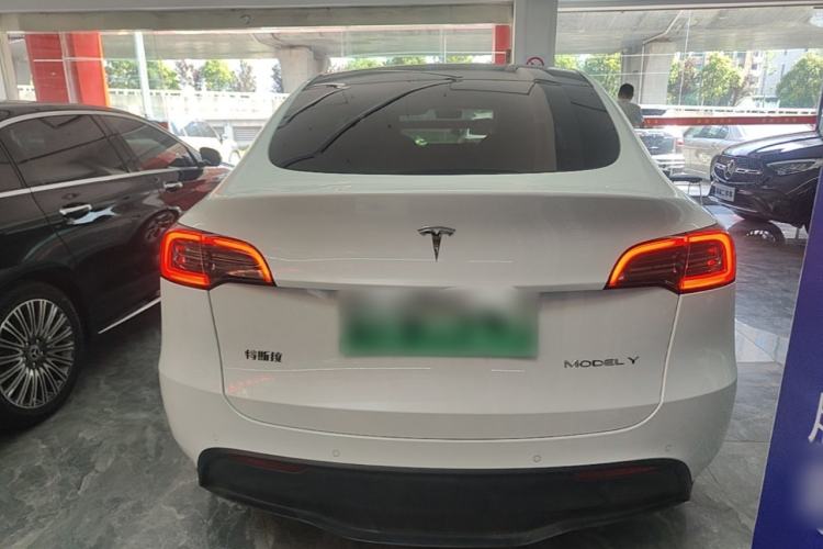 Used Tesla Model Y 2021 Standard Range Rear-Wheel Drive Version Rear