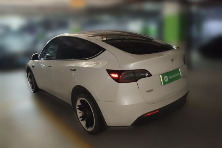 Used Tesla Model Y 2021 Standard Range Rear-Wheel Drive Version Rear Left 45 Deg