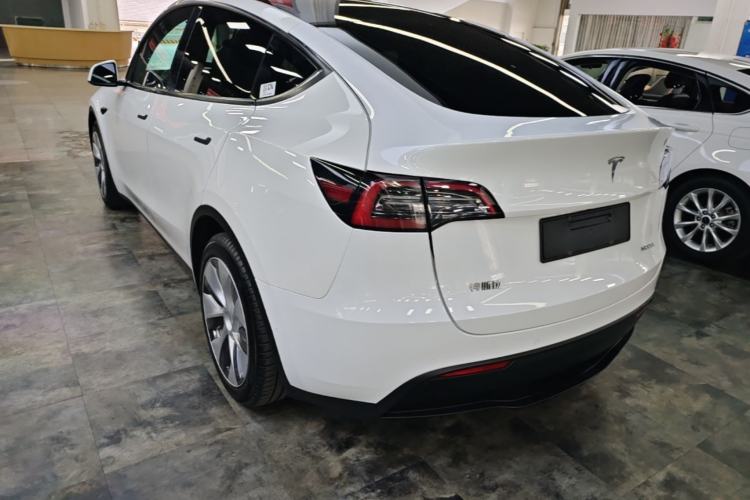 Used Tesla Model Y 2021 Standard Range Rear-Wheel Drive Version Rear Left 45 Deg