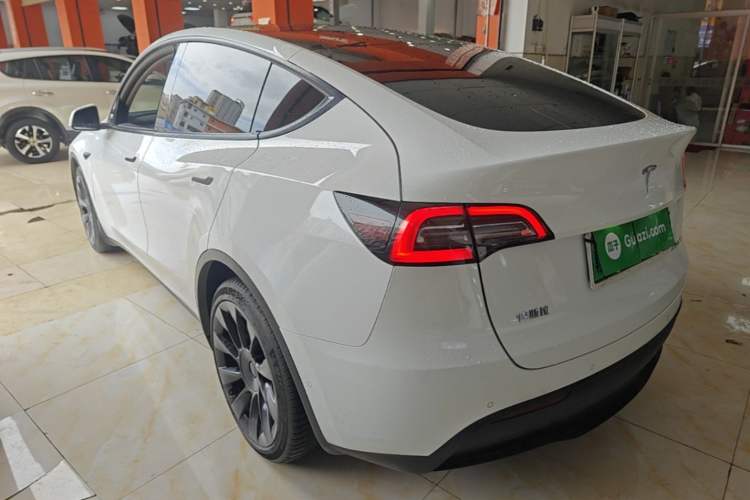 Used Tesla Model Y 2021 Long-Range All-Wheel-Drive Version Rear Left 45 Deg