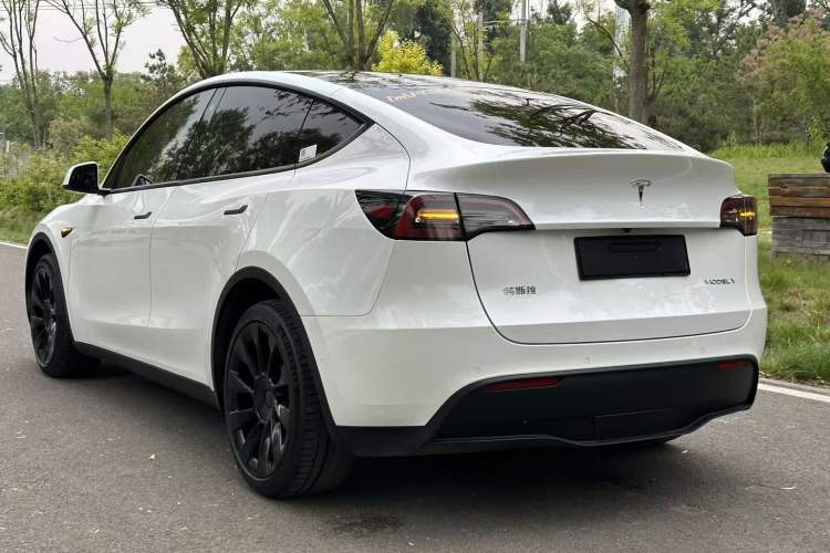 Used Tesla Model Y 2021 Long-Range All-Wheel-Drive Version Rear Left 45 Deg