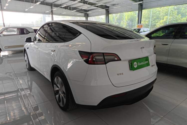 Used Tesla Model Y 2021 Long-Range All-Wheel-Drive Version Rear Left 45 Deg