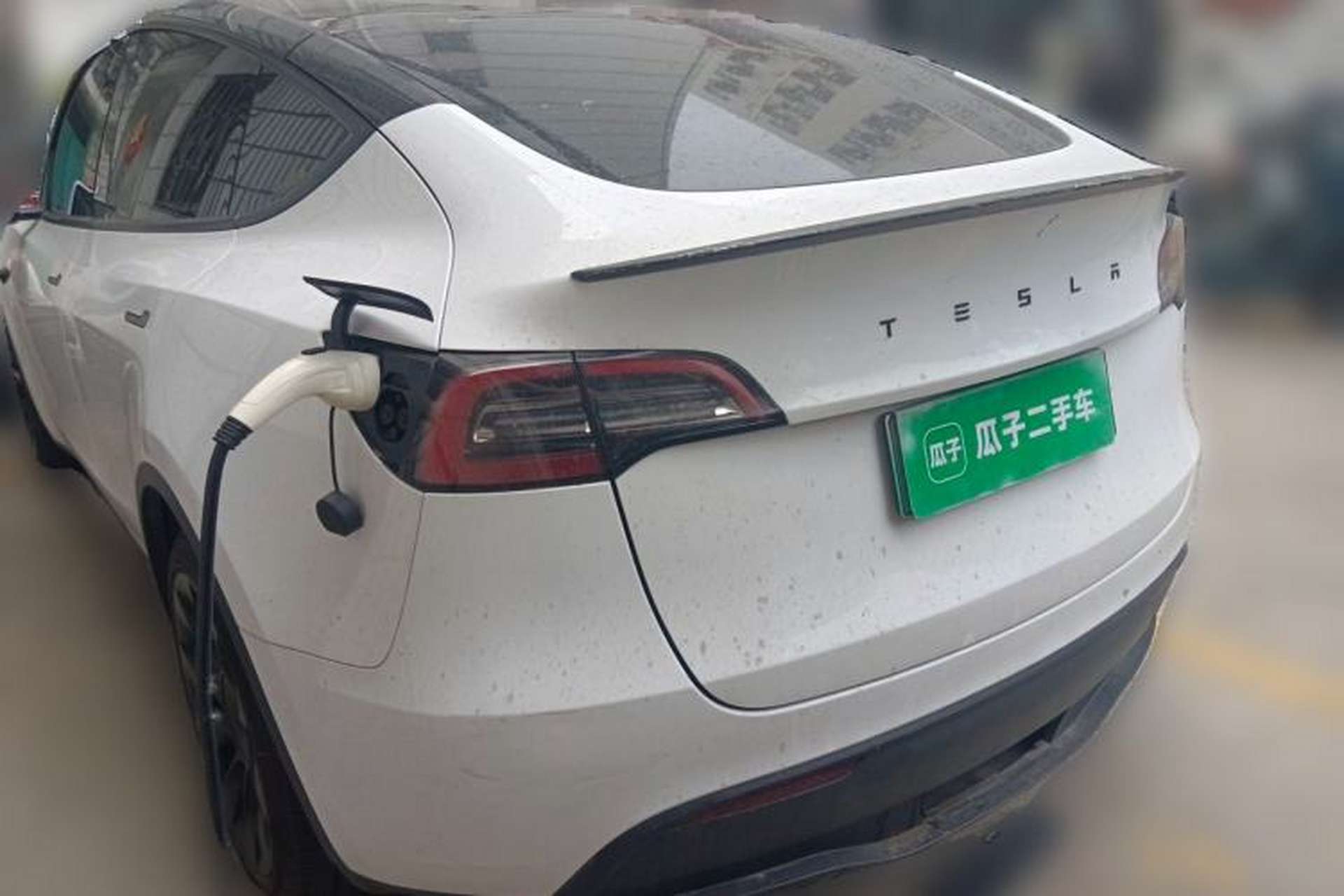 Used Tesla Model Y 2021 Standard Range Rear-Wheel Drive Version Rear Left 45 Deg