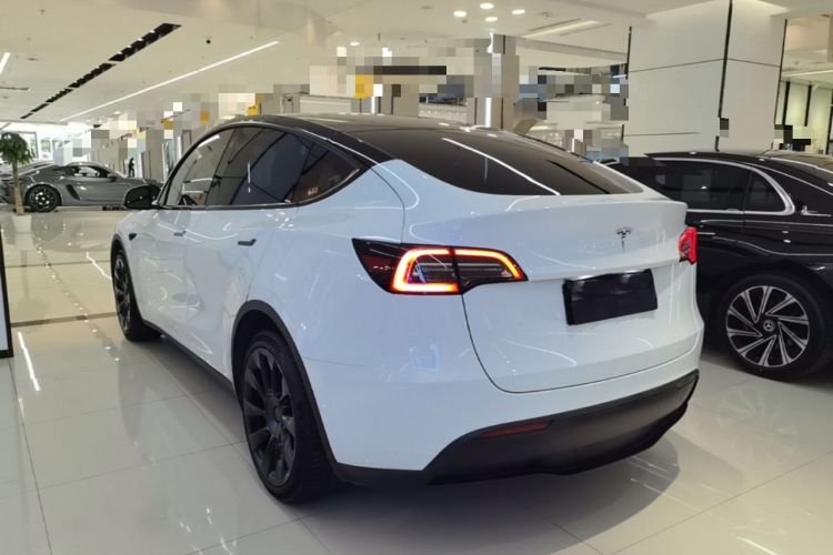 Used Tesla Model Y 2021 Standard Range Rear-Wheel Drive Version Rear Left 45 Deg