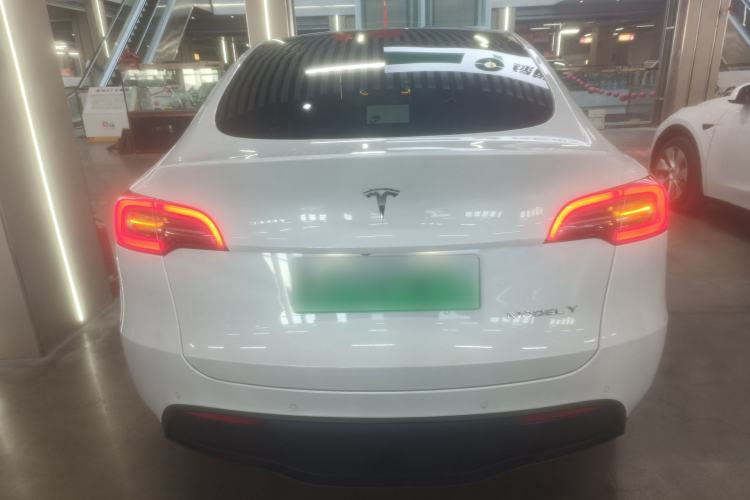 Used Tesla Model Y 2021 Standard Range Rear-Wheel Drive Version Rear