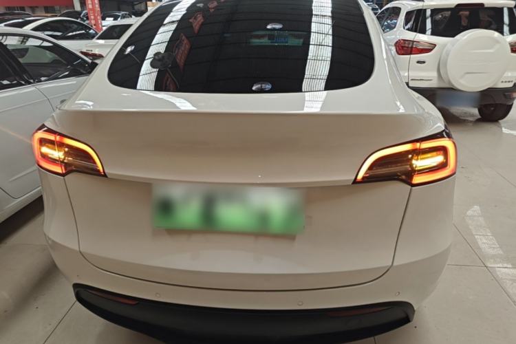 Used Tesla Model Y 2021 Standard Range Rear-Wheel Drive Version Rear