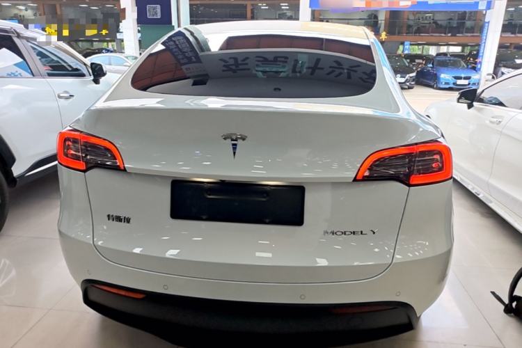 Used Tesla Model Y 2021 Standard Range Rear-Wheel Drive Version Rear